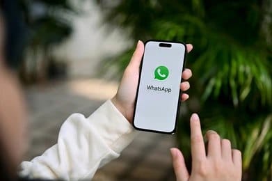 whatsapp for business