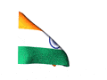 Indian Flag